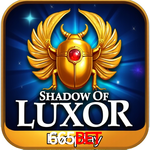 Experiência VIP 665bet